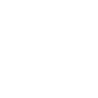The Regiment